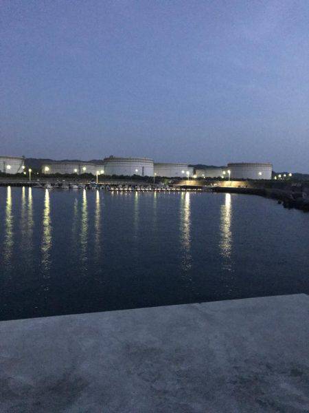 やっと春イカ…