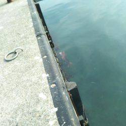 土曜の昼から翌朝方にかけて