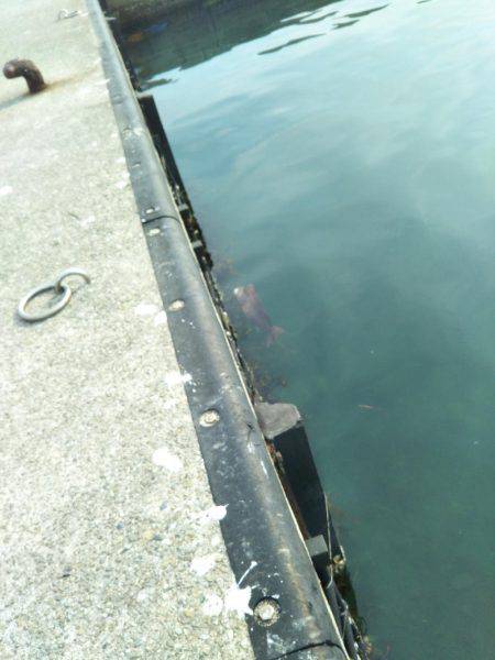 土曜の昼から翌朝方にかけて