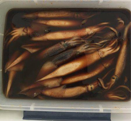 五目からのムギイカ