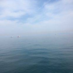 ベイト多過ぎ(苦笑)