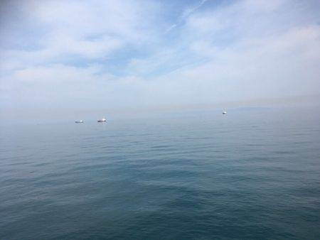 ベイト多過ぎ(苦笑)