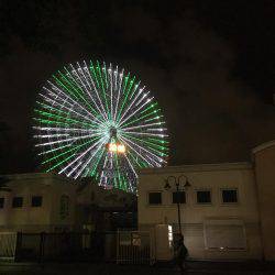 横浜アジング！