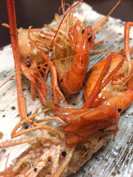 明石川でテナガエビ