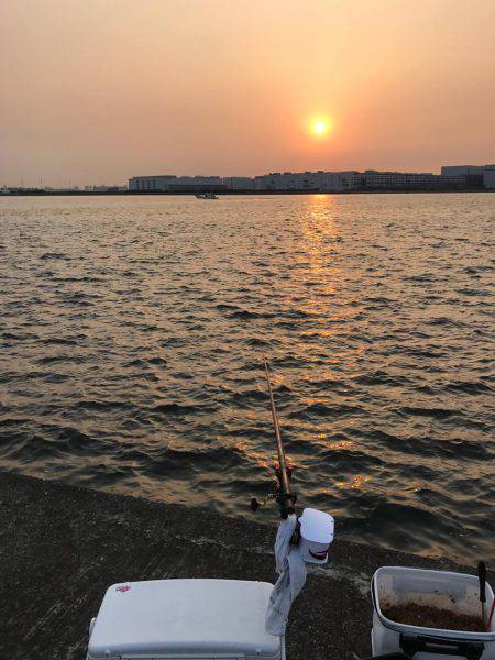 南港 チヌ フカセ