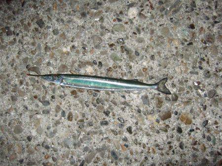 渋いながらもまずまず