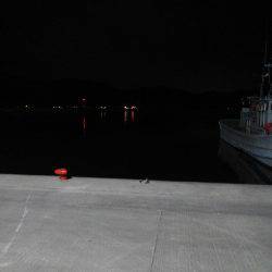 最後に、ドンっ