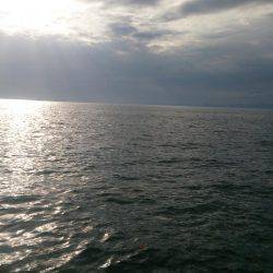 ジャンボ釣りたい