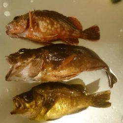 佐喜浜から恵比須浜まで