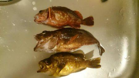 佐喜浜から恵比須浜まで