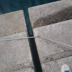 アオリはどこに？