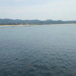 なかなか釣れない