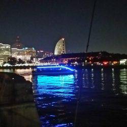 夜景とアジング