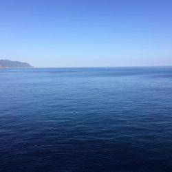 朝マズメに良型メバル