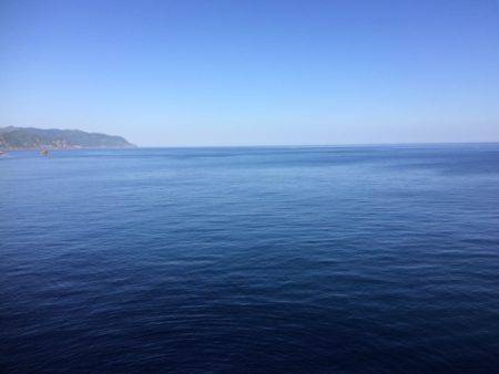 朝マズメに良型メバル