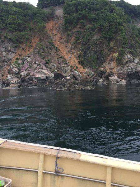 今年初ｱｵﾘｲｶ