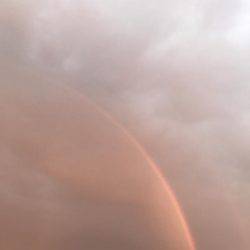 今年初メバリング