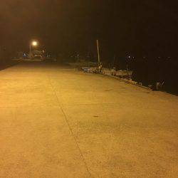 フィッシュホルダーハピソン