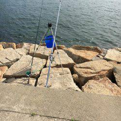 カレイにアブラメ