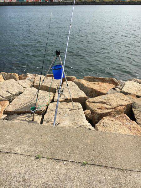 カレイにアブラメ