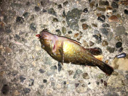 趣向を変えて‥