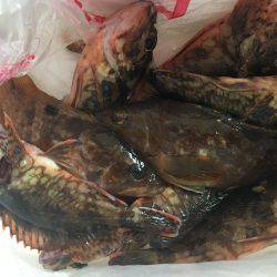 デイガシリング