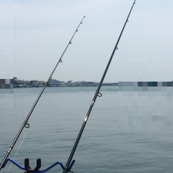 やっとこさアブ新