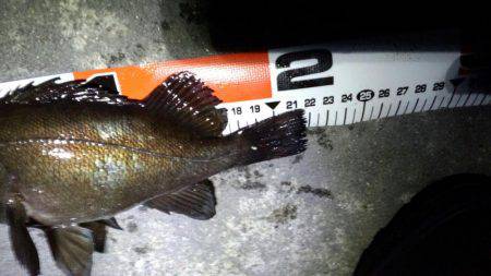 ﾒﾊﾞﾘﾝｸﾞ苦戦