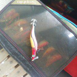 ボウズはつらいよ