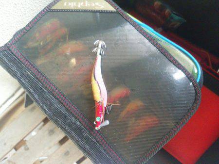 ボウズはつらいよ