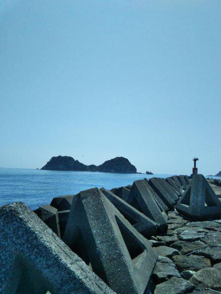 ボーズ逃れのマゴチ