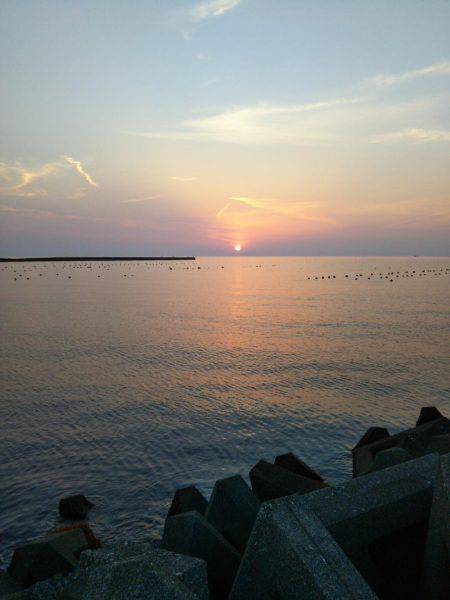 阿南市の辰巳でマゴチ