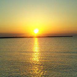 阿南市の辰巳周辺でマゴチ