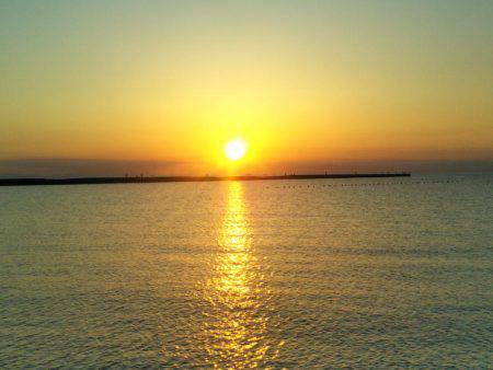 阿南市の辰巳周辺でマゴチ