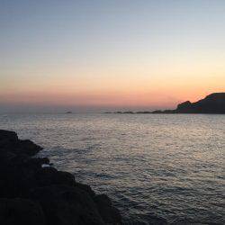 南紀 ショアジギング