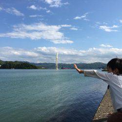 鯵はいないけど