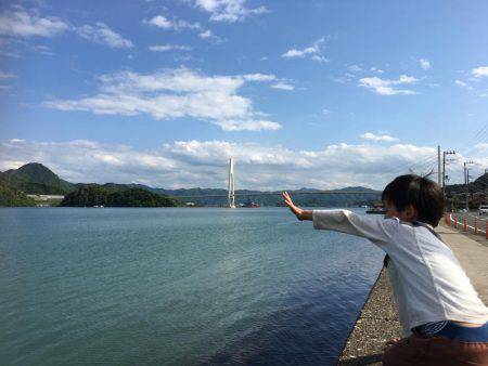 鯵はいないけど