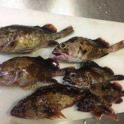 神戸沖堤防でライトワインド