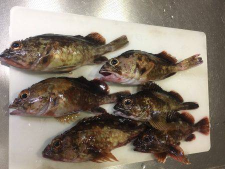 神戸沖堤防でライトワインド