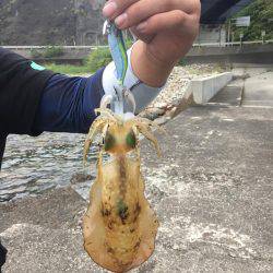 エギングの合間に...