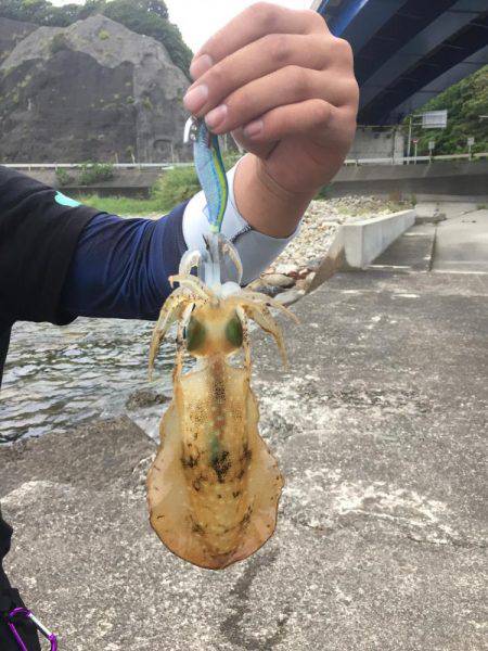 エギングの合間に...