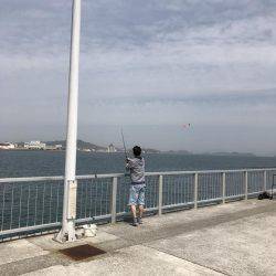 富田新港釣り