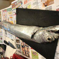 今年初のドラゴン