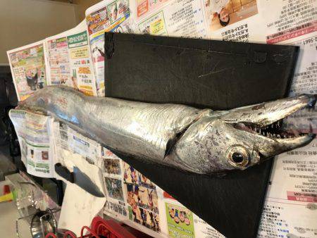 今年初のドラゴン