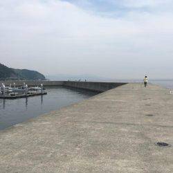 保険のキス釣り