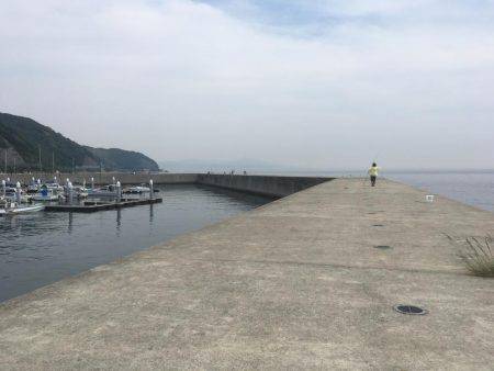 保険のキス釣り