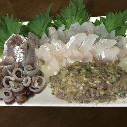 そろそろアジの季節かな！！