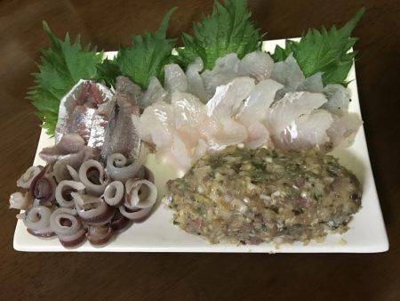 そろそろアジの季節かな！！