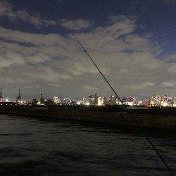 フッコ釣れました！