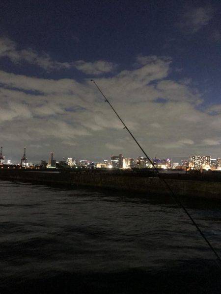 フッコ釣れました！